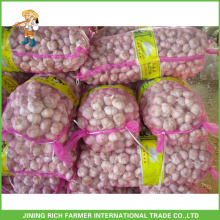 Chinese Cold Storage Garlic 10Kg/Bag